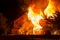 A Michigan house that caught fire.